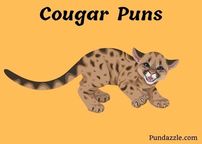 150 Hilarious Cougar Puns That Celebrate Confidence and Fun
