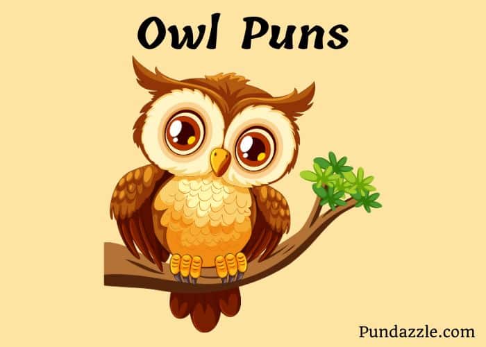 183 Hoot-Funny Owl Puns That Will Make You Laugh Out Loud