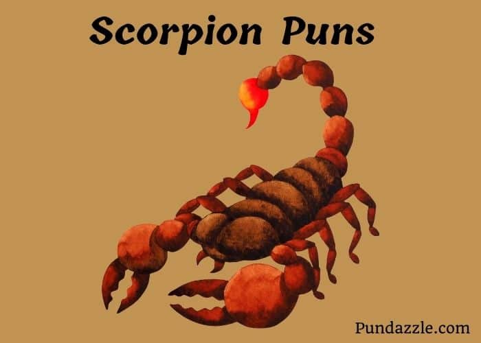 103 Hilarious Scorpion Puns That Will Make You Laugh Out Loud