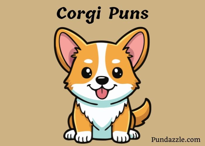152 Pawsitively Hilarious Corgi Puns That Will Make You Smile
