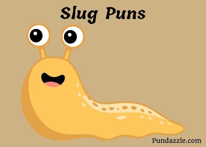 62+ Slug Puns And Jokes To Make You Feel Slimetastic