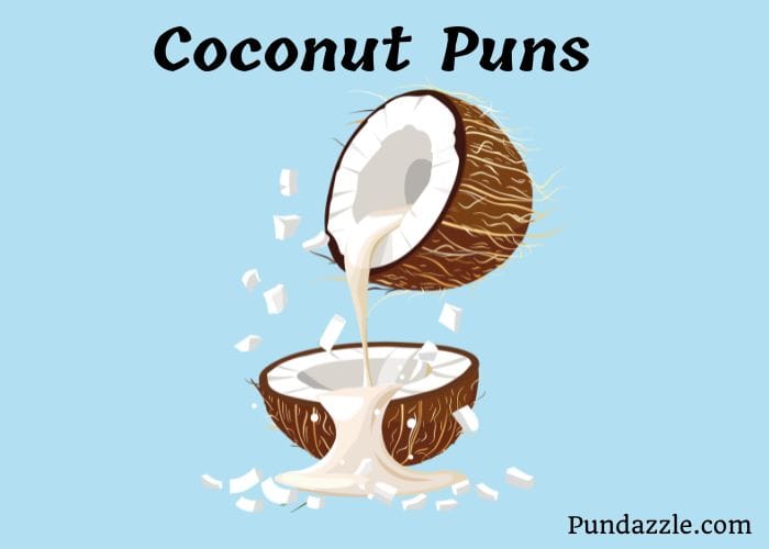 110 Hilarious Coconut Puns That Will Make You Go Coco-Nuts